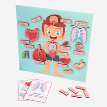 Load image into Gallery viewer, body parts cut out placed on boys body, flash cards of every body part
